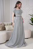 Long evening dress decorated with stones and feathers in gray color 