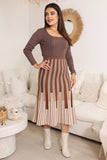 Brown striped blouse and skirt set