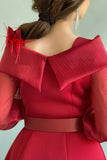 Classic collared dress decorated with red feathers 