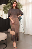 Brown long skirt and striped blouse set 