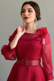 Classic collared dress decorated with red feathers 